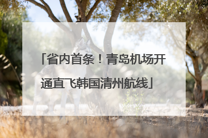 省内首条！青岛机场开通直飞韩国清州航线